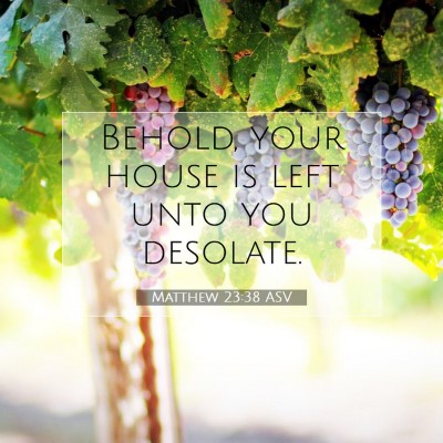 Picture 07 - Matthew 23:38 ASV - Behold, your house is left unto you - Bible Verse Picture