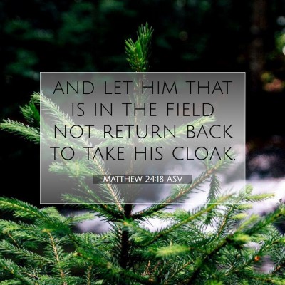 Picture 07 - Matthew 24:18 ASV - and let him that is in the field not return back - Bible Verse Picture