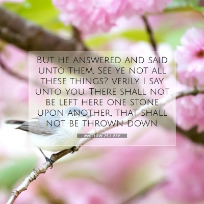 Picture 07 - Matthew 24:2 ASV - But he answered and said unto them, See ye not - Bible Verse Picture
