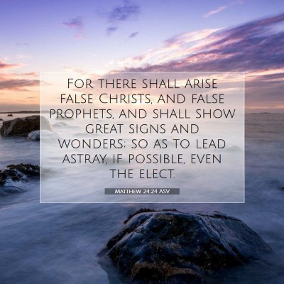 Picture 07 - Matthew 24:24 ASV - For there shall arise false Christs, and false - Bible Verse Picture