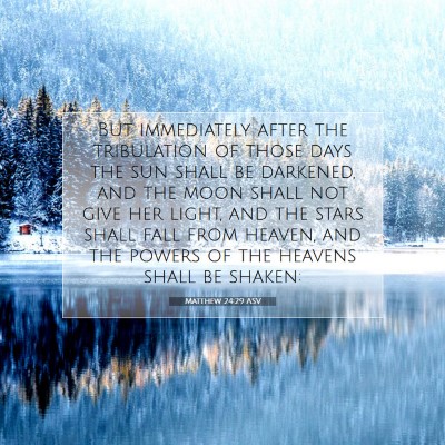 Picture 07 - Matthew 24:29 ASV - But immediately after the tribulation of those - Bible Verse Picture