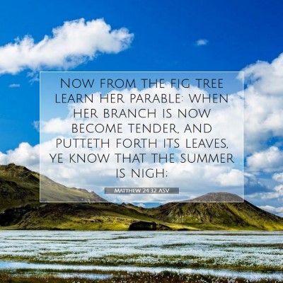 Picture 07 - Matthew 24:32 ASV - Now from the fig tree learn her parable: when her - Bible Verse Picture