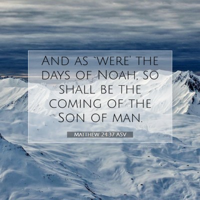 Picture 07 - Matthew 24:37 ASV - And as `were' the days of Noah, so shall be the - Bible Verse Picture