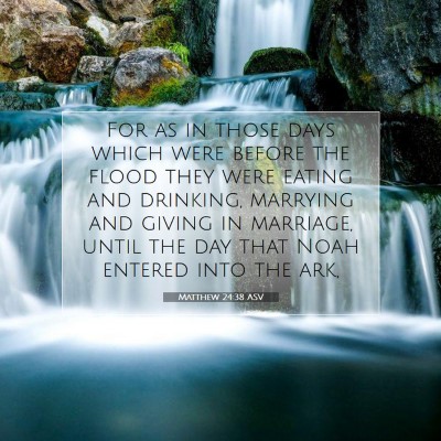 Picture 07 - Matthew 24:38 ASV - For as in those days which were before the flood - Bible Verse Picture