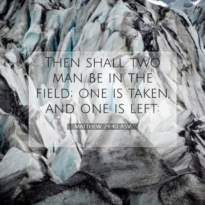 Picture 07 - Matthew 24:40 ASV - Then shall two man be in the field; one is taken, - Bible Verse Picture