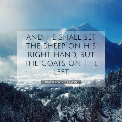 Picture 07 - Matthew 25:33 ASV - and he shall set the sheep on his right hand, but - Bible Verse Picture
