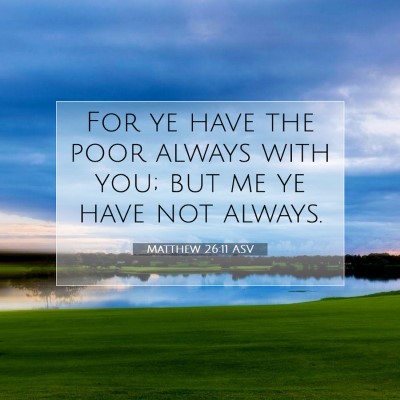 Picture 07 - Matthew 26:11 ASV - For ye have the poor always with you; but me ye - Bible Verse Picture