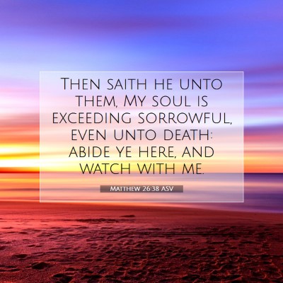 Picture 07 - Matthew 26:38 ASV - Then saith he unto them, My soul is exceeding - Bible Verse Picture