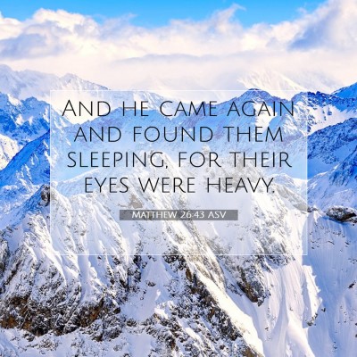 Picture 07 - Matthew 26:43 ASV - And he came again and found them sleeping, for - Bible Verse Picture