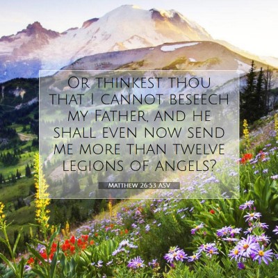 Picture 07 - Matthew 26:53 ASV - Or thinkest thou that I cannot beseech my Father, - Bible Verse Picture