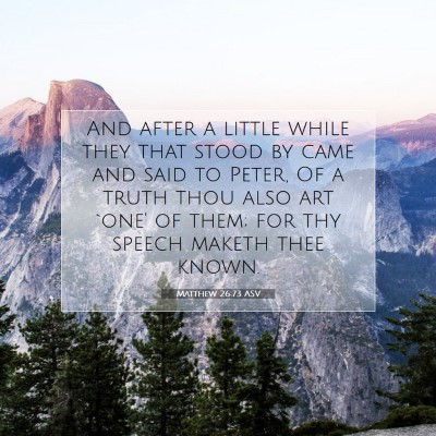 Picture 07 - Matthew 26:73 ASV - And after a little while they that stood by came - Bible Verse Picture