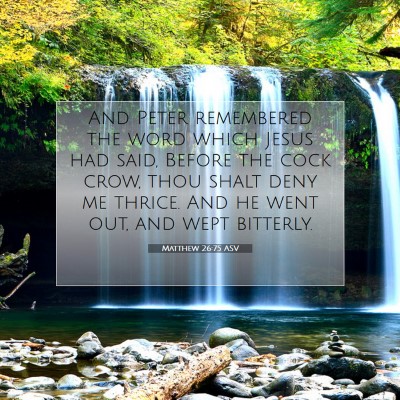 Picture 07 - Matthew 26:75 ASV - And Peter remembered the word which Jesus had - Bible Verse Picture