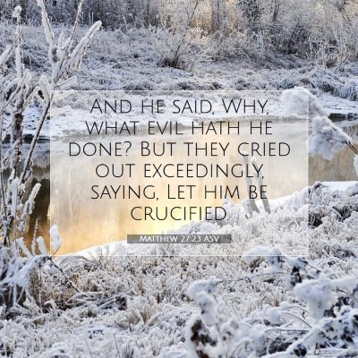 Picture 07 - Matthew 27:23 ASV - And he said, Why, what evil hath he done? But - Bible Verse Picture
