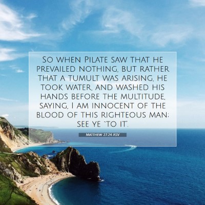 Picture 07 - Matthew 27:24 ASV - So when Pilate saw that he prevailed nothing, but - Bible Verse Picture