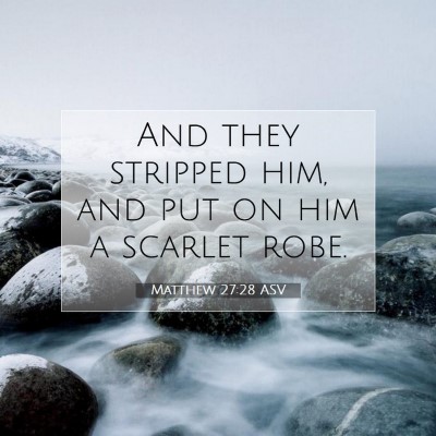 Picture 07 - Matthew 27:28 ASV - And they stripped him, and put on him a scarlet - Bible Verse Picture