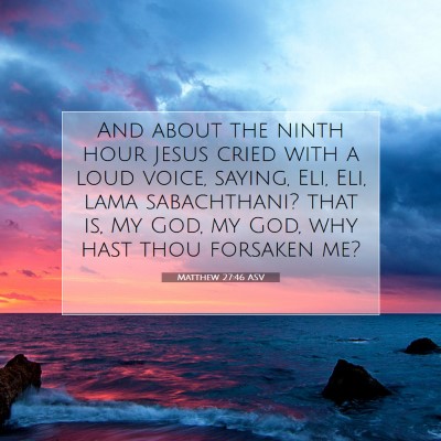 Picture 07 - Matthew 27:46 ASV - And about the ninth hour Jesus cried with a loud - Bible Verse Picture