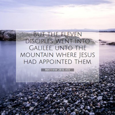 Picture 07 - Matthew 28:16 ASV - But the eleven disciples went into Galilee, unto - Bible Verse Picture