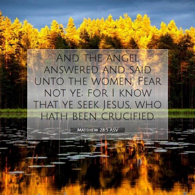 Picture 07 - Matthew 28:5 ASV - And the angel answered and said unto the women, - Bible Verse Picture