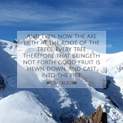 Picture 07 - Matthew 3:10 ASV - And even now the axe lieth at the root of the - Bible Verse Picture