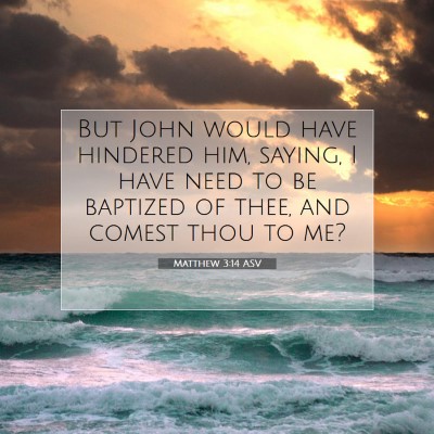 Picture 07 - Matthew 3:14 ASV - But John would have hindered him, saying, I have - Bible Verse Picture