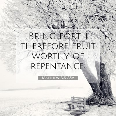 Picture 07 - Matthew 3:8 ASV - Bring forth therefore fruit worthy of - Bible Verse Picture