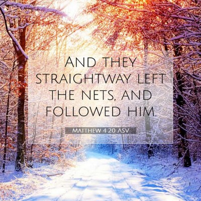 Picture 07 - Matthew 4:20 ASV - And they straightway left the nets, and followed - Bible Verse Picture