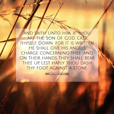 Picture 07 - Matthew 4:6 ASV - and saith unto him, If thou art the Son of God, - Bible Verse Picture