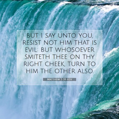 Picture 07 - Matthew 5:39 ASV - but I say unto you, resist not him that is evil: - Bible Verse Picture