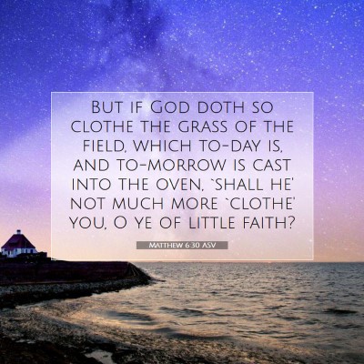 Picture 07 - Matthew 6:30 ASV - But if God doth so clothe the grass of the field, - Bible Verse Picture