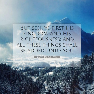 Picture 07 - Matthew 6:33 ASV - But seek ye first his kingdom, and his - Bible Verse Picture