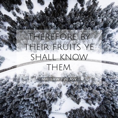 Picture 07 - Matthew 7:20 ASV - Therefore by their fruits ye shall know - Bible Verse Picture