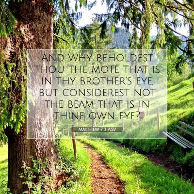 Picture 07 - Matthew 7:3 ASV - And why beholdest thou the mote that is in thy - Bible Verse Picture