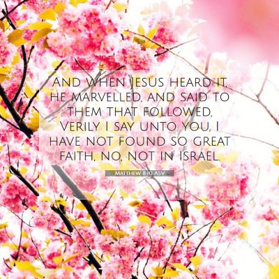 Picture 07 - Matthew 8:10 ASV - And when Jesus heard it, he marvelled, and said - Bible Verse Picture