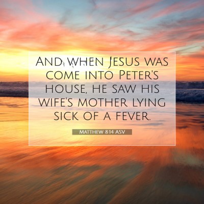 Picture 07 - Matthew 8:14 ASV - And when Jesus was come into Peter's house, he - Bible Verse Picture