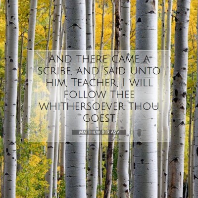 Picture 07 - Matthew 8:19 ASV - And there came a scribe, and said unto him, - Bible Verse Picture