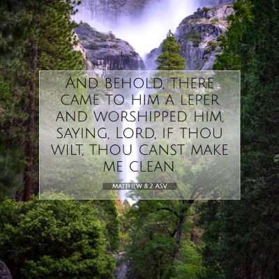 Picture 07 - Matthew 8:2 ASV - And behold, there came to him a leper and - Bible Verse Picture