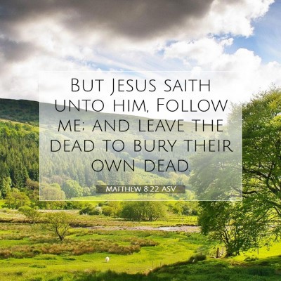 Picture 07 - Matthew 8:22 ASV - But Jesus saith unto him, Follow me; and leave - Bible Verse Picture