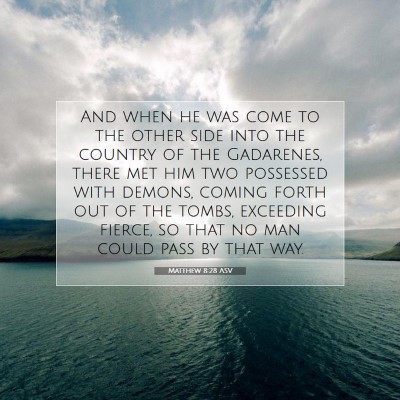Picture 07 - Matthew 8:28 ASV - And when he was come to the other side into the - Bible Verse Picture