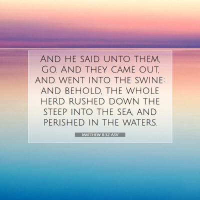 Picture 07 - Matthew 8:32 ASV - And he said unto them, Go. And they came out, and - Bible Verse Picture