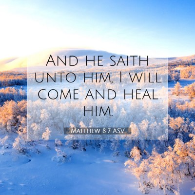 Picture 07 - Matthew 8:7 ASV - And he saith unto him, I will come and heal - Bible Verse Picture