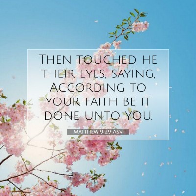 Picture 07 - Matthew 9:29 ASV - Then touched he their eyes, saying, According to - Bible Verse Picture
