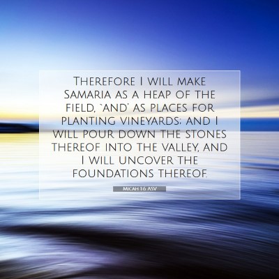Picture 07 - Micah 1:6 ASV - Therefore I will make Samaria as a heap of the - Bible Verse Picture