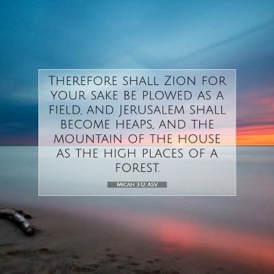 Picture 07 - Micah 3:12 ASV - Therefore shall Zion for your sake be plowed as a - Bible Verse Picture