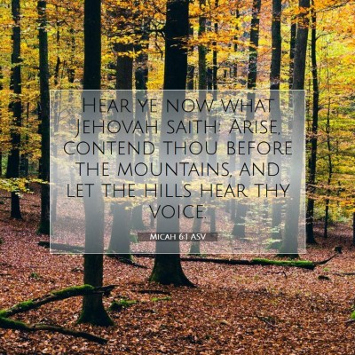 Picture 07 - Micah 6:1 ASV - Hear ye now what Jehovah saith: Arise, contend - Bible Verse Picture