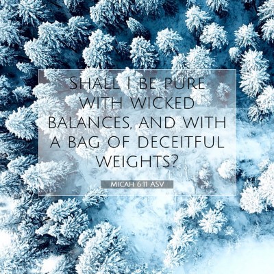 Picture 07 - Micah 6:11 ASV - Shall I be pure with wicked balances, and with a - Bible Verse Picture