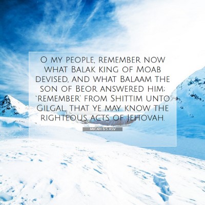 Picture 07 - Micah 6:5 ASV - O my people, remember now what Balak king of Moab - Bible Verse Picture