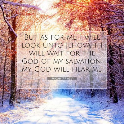 Picture 07 - Micah 7:7 ASV - But as for me, I will look unto Jehovah; I will - Bible Verse Picture