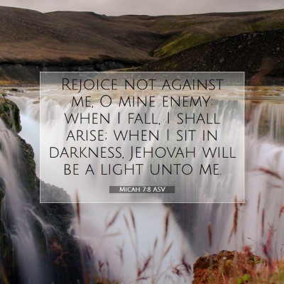 Picture 07 - Micah 7:8 ASV - Rejoice not against me, O mine enemy: when I - Bible Verse Picture