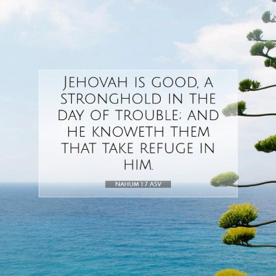 Picture 07 - Nahum 1:7 ASV - Jehovah is good, a stronghold in the day of - Bible Verse Picture