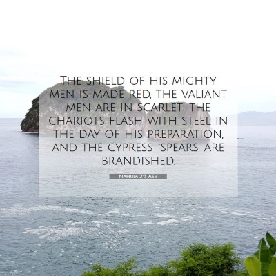 Picture 07 - Nahum 2:3 ASV - The shield of his mighty men is made red, the - Bible Verse Picture